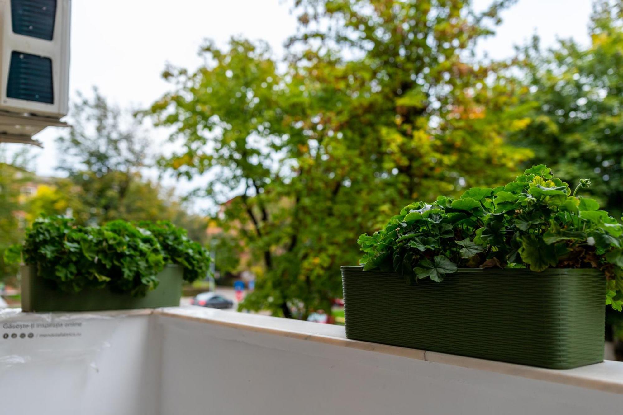 Apartament Octavia Hunedoara Exteriér fotografie