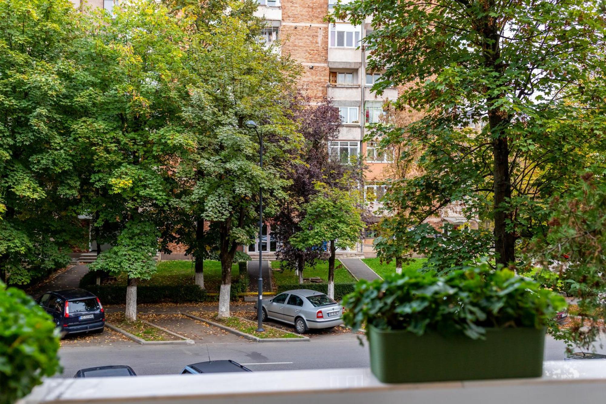 Apartament Octavia Hunedoara Exteriér fotografie